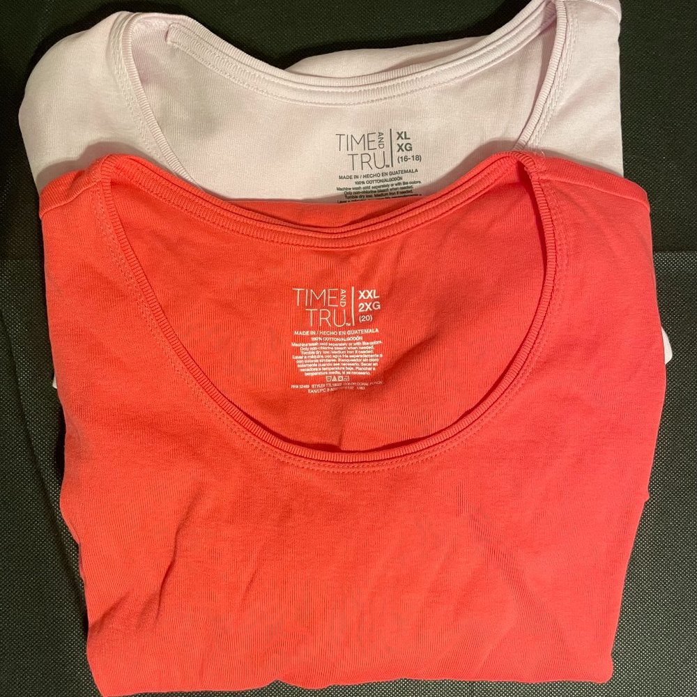 Time and Tru Short Sleeve Tees 2 pieces
